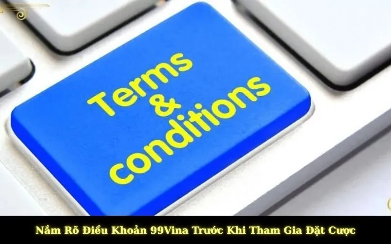 Nắm Rõ Điều Khoản 99Vina Trước Khi Tham Gia Đặt Cược