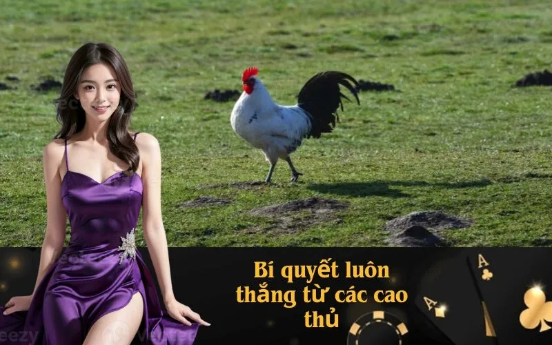 Bí quyết luôn thắng từ các cao thủ