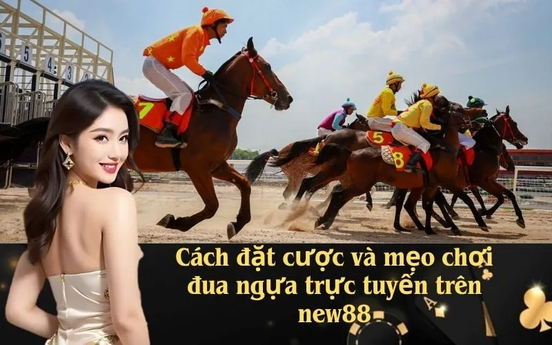 Cách đặt cược và mẹo chơi đua ngựa trực tuyến trên new88